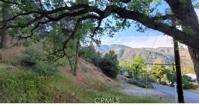 Frazier Park, CA 93225,0 Pine Canyon