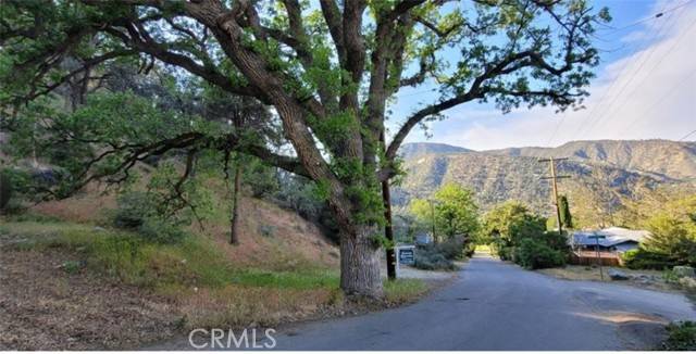 Frazier Park, CA 93225,0 Pine Canyon