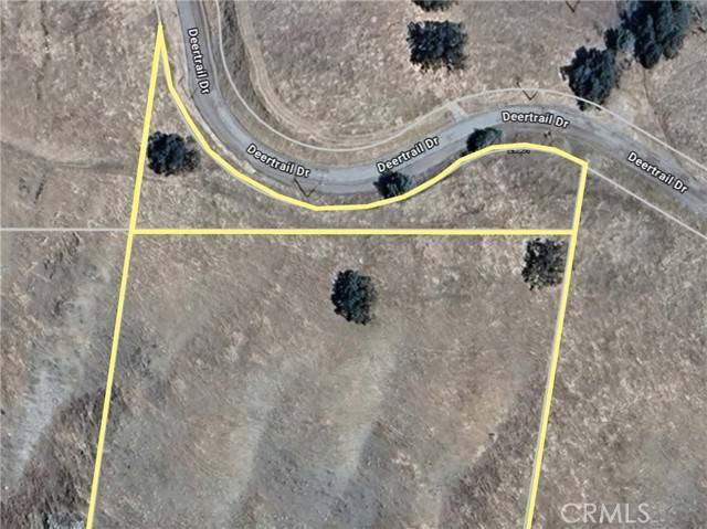 Tehachapi, CA 93561,29801 Deertrail Drive