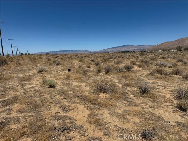 Rosamond, CA 93536,8155 Rosamond