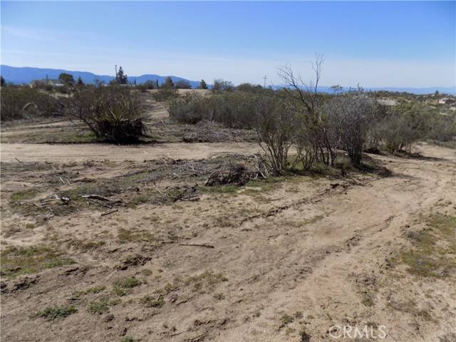 Aguanga, CA 92536,0 Thouroughbred Ct