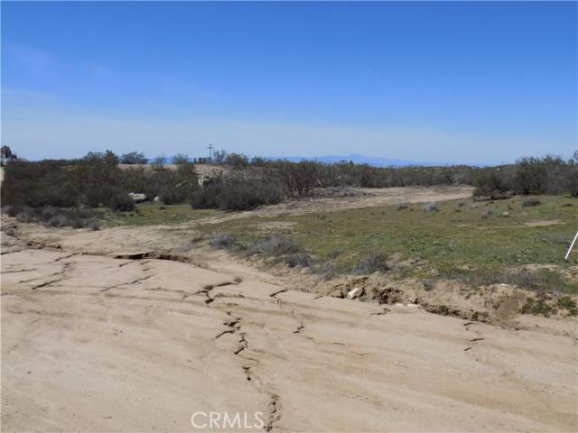 Aguanga, CA 92536,0 Thouroughbred Ct