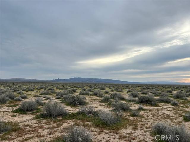 Hinkley, CA 92347,0 0