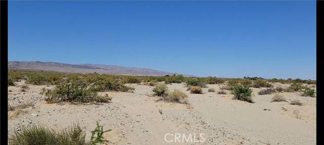 Twentynine Palms, CA 92277,0 Near Twentynine Palms Hwy