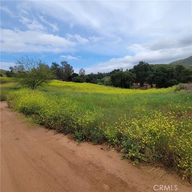 Wildomar, CA 92532,600 Acacia