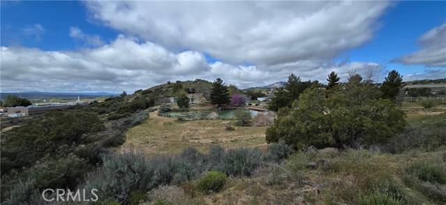 Anza, CA 92539,56695 Cain Road