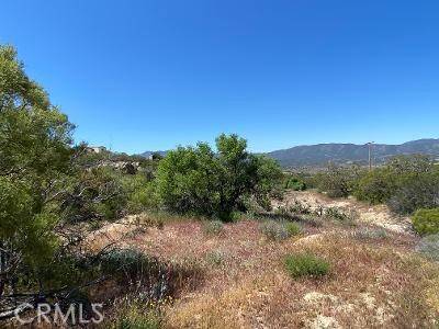 Anza, CA 92539,61700 Indian Paint Brush Road