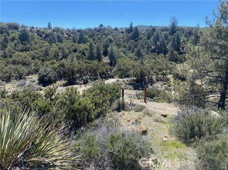 Anza, CA 92539,0 Hwy 371