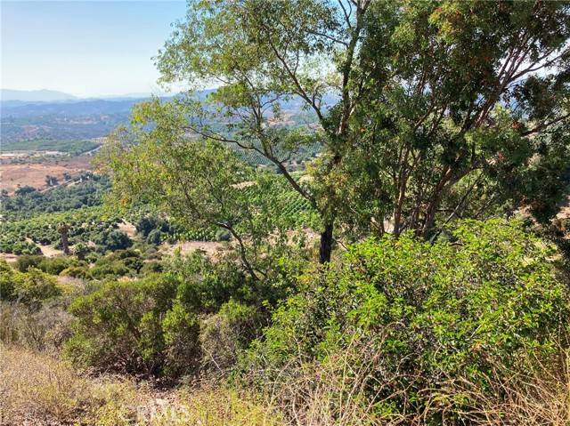 Temecula, CA 92590,37 El Calamar Road