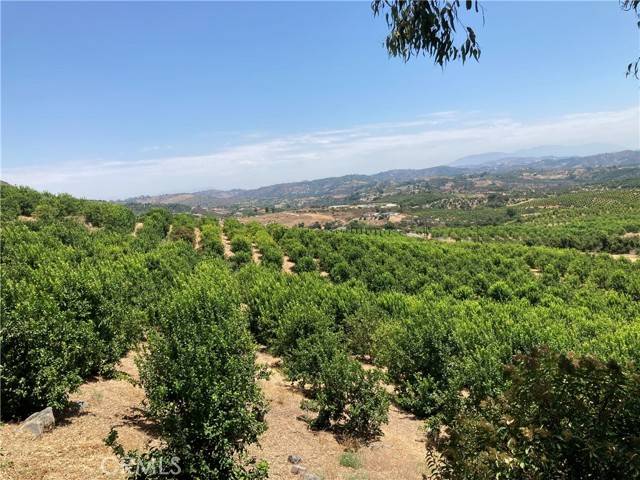 Temecula, CA 92590,39 Carancho Road