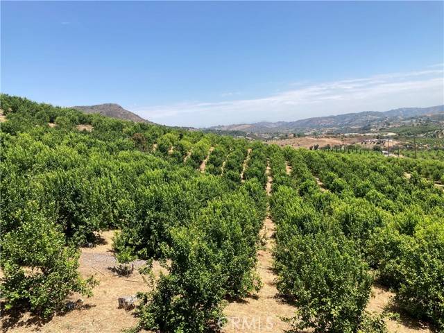 Temecula, CA 92590,39 Carancho Road