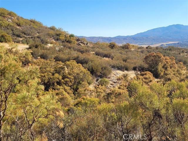 Anza, CA 92539,0 Gulley View