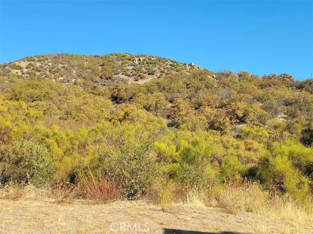 Anza, CA 92539,0 Gulley View