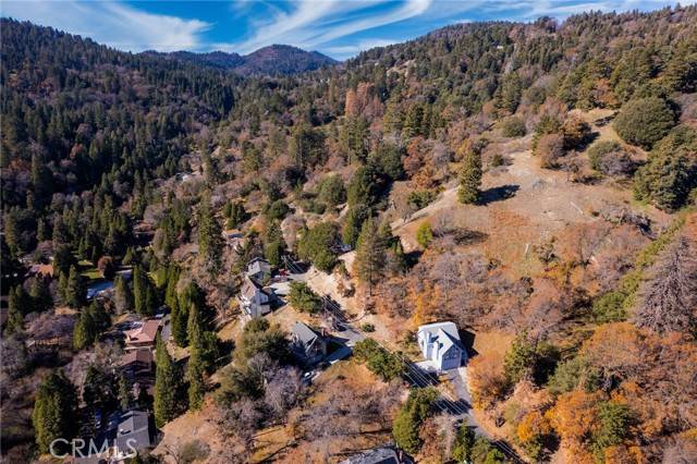 Crestline, CA 92325,0 Briarwood Lane