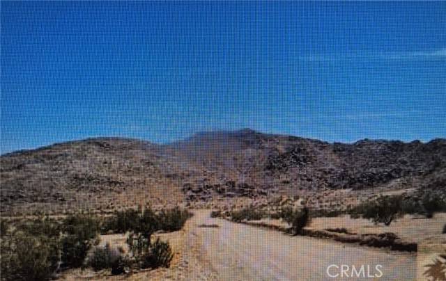 Joshua Tree, CA 92252,0 Lot 13 Benji Ave Avenue