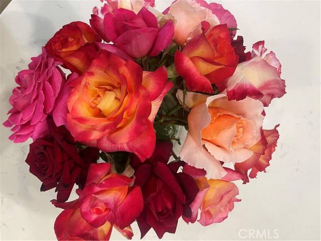 Murrieta, CA 92562,40083 Corte Lorca