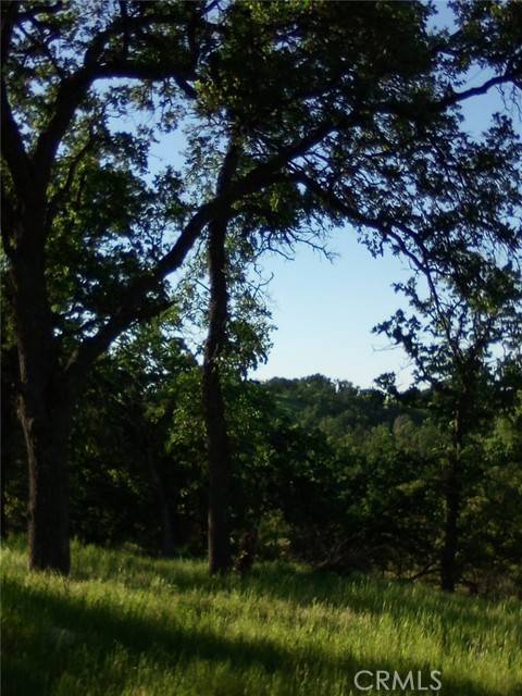 Corning, CA 96021,17065 Fawn Lane