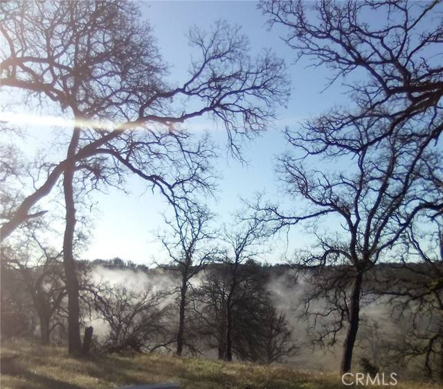 Corning, CA 96021,17065 Fawn Lane