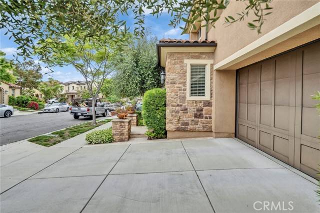 Lake Forest (el Toro), CA 92630,23 Snapdragon