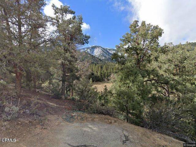 Pine Mtn Club, CA 93222,2209 St Anton Drive