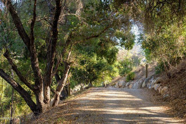 Ojai, CA 93023,11065 Creek Road