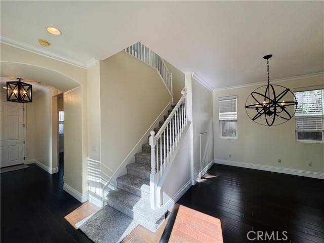 Ladera Ranch, CA 92694,56 Bedstraw