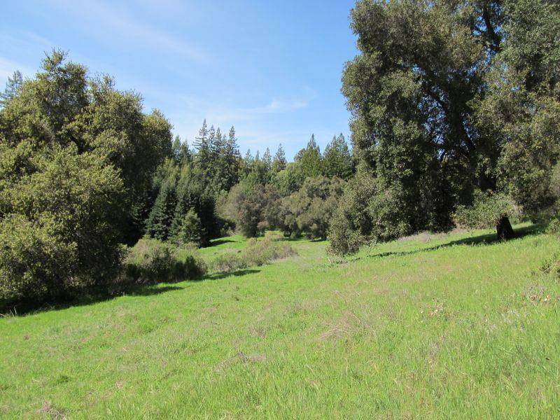 Boulder Creek, CA 95006,0 Two Bar Road