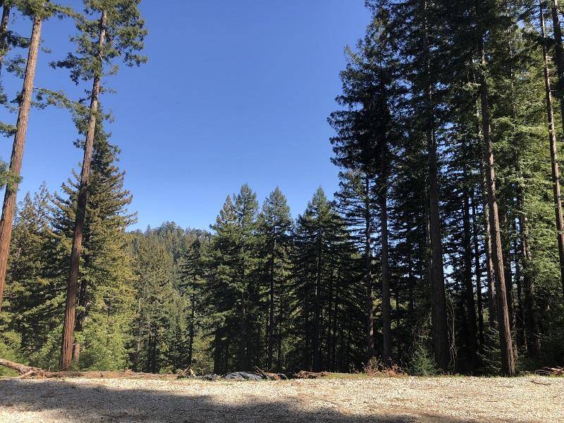 Boulder Creek, CA 95006,0 Little Buck Road