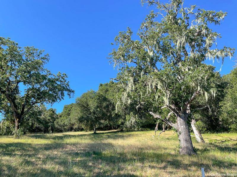 Carmel, CA 93923,34221 Robinson Canyon Road