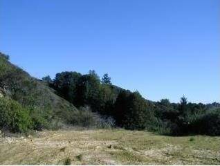 Boulder Creek, CA 95006,0 Logan Creek