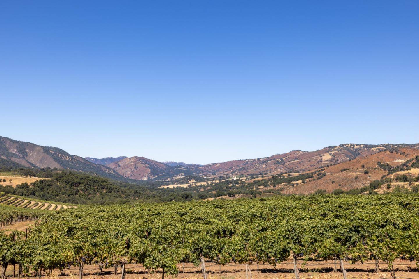 Carmel Valley, CA 93924,20300 Cachagua