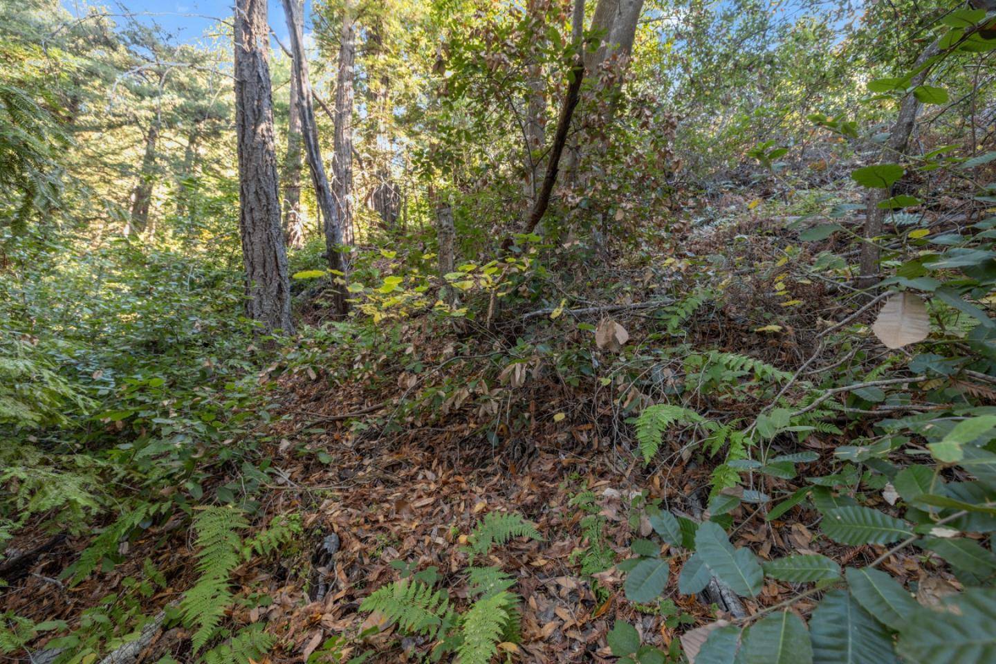Felton, CA 95018,11375 Lake Boulevard