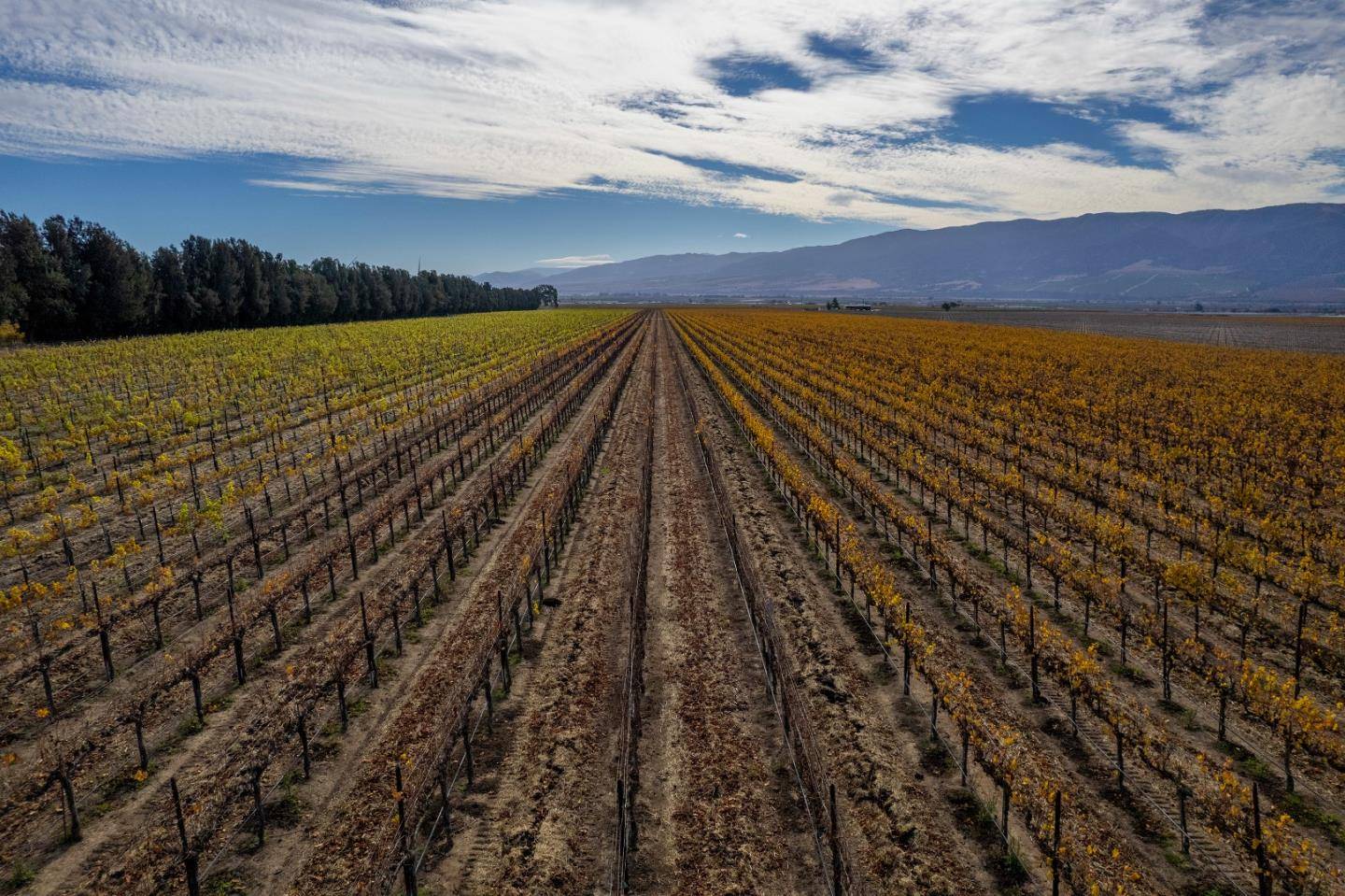 Soledad, CA 93960,31102 Camphora Gloria Road