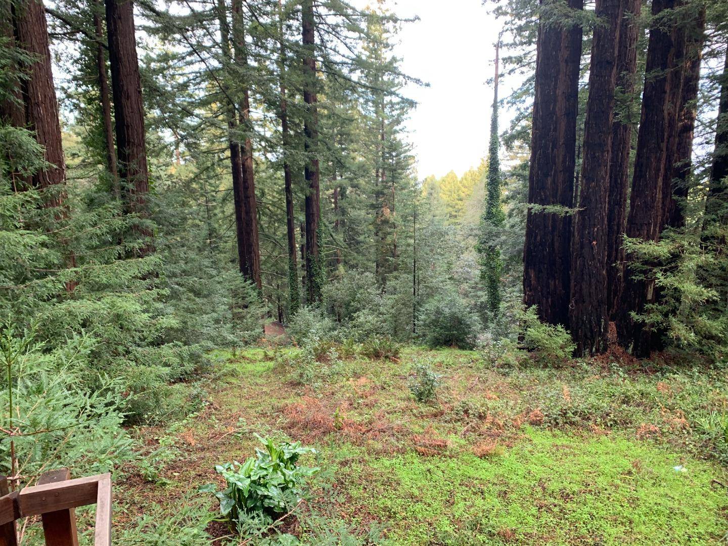Woodside, CA 94062,27 Big Tree Way