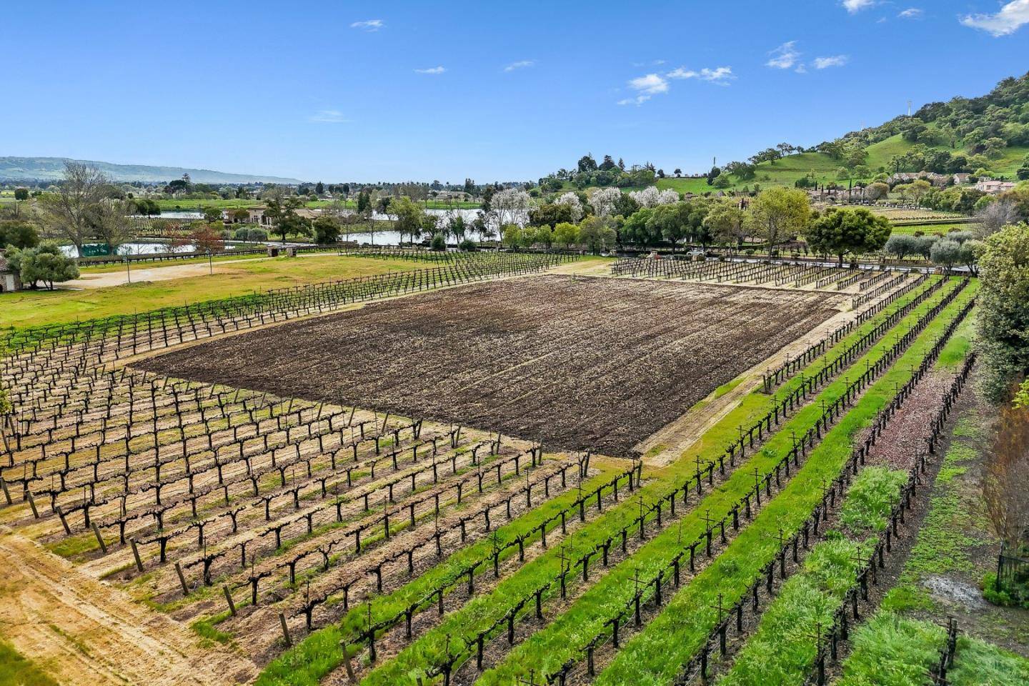 San Martin, CA 95046,1265 Lions Peak Lane