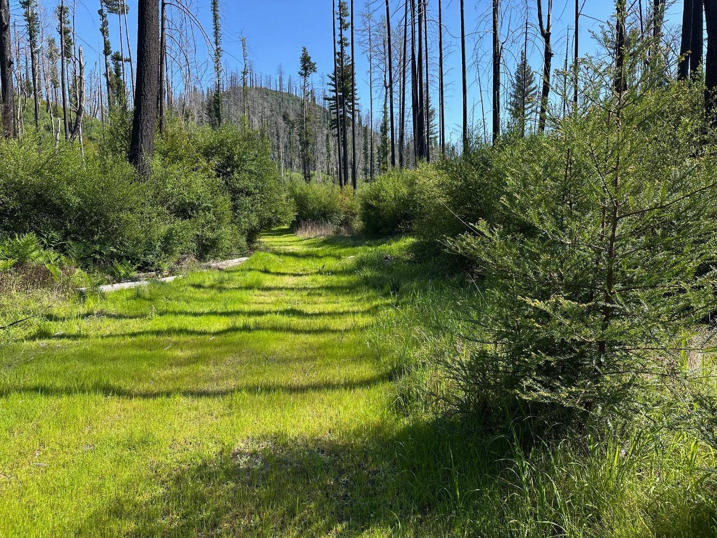 Davenport, CA 95017,4605 Last Chance Road