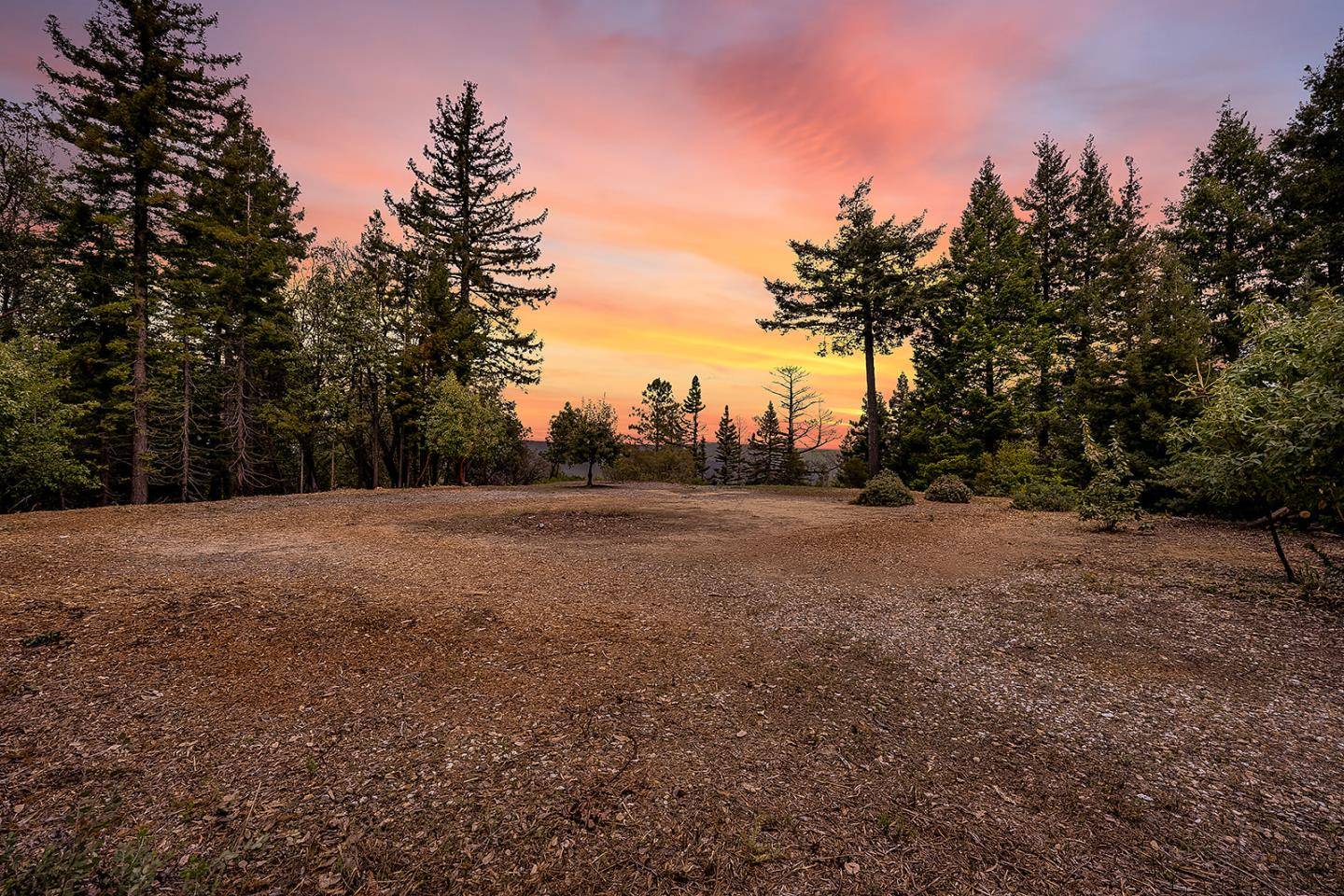 Santa Cruz, CA 95060,235 Feather Lane