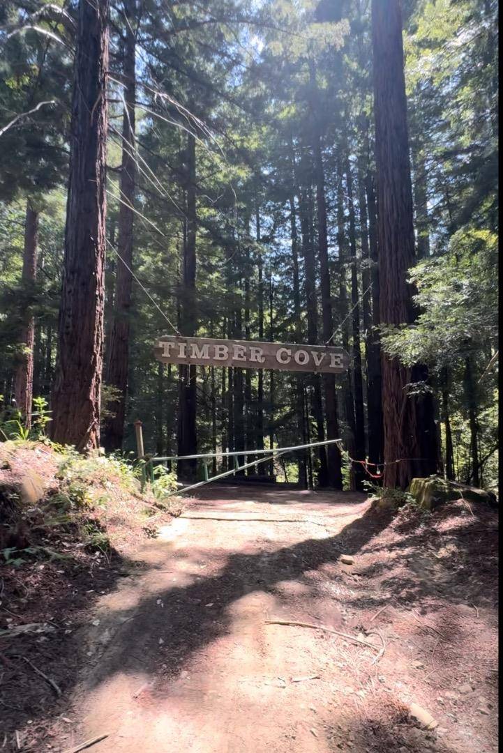 Boulder Creek, CA 95006,320 Timber Cove