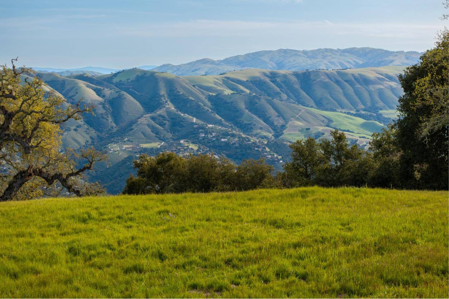 Carmel, CA 93923,24 Vasquez Trail