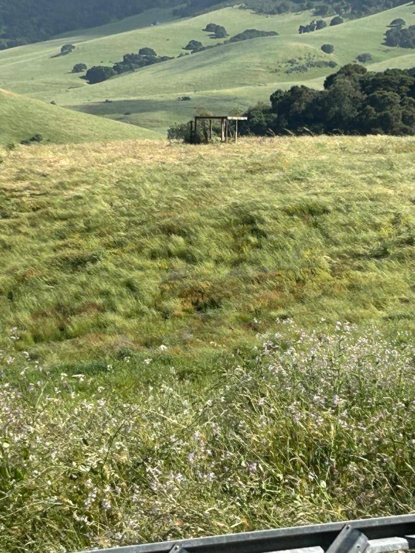 San Juan Bautista, CA 95045,363 Orchard Hill Road