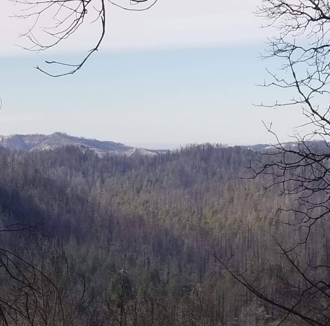 Boulder Creek, CA 95006,20604 Little Basin Road
