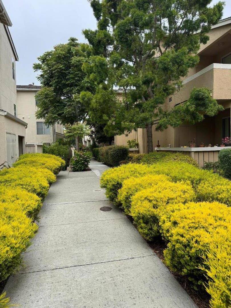 Santa Cruz, CA 95060,356 Everson Drive