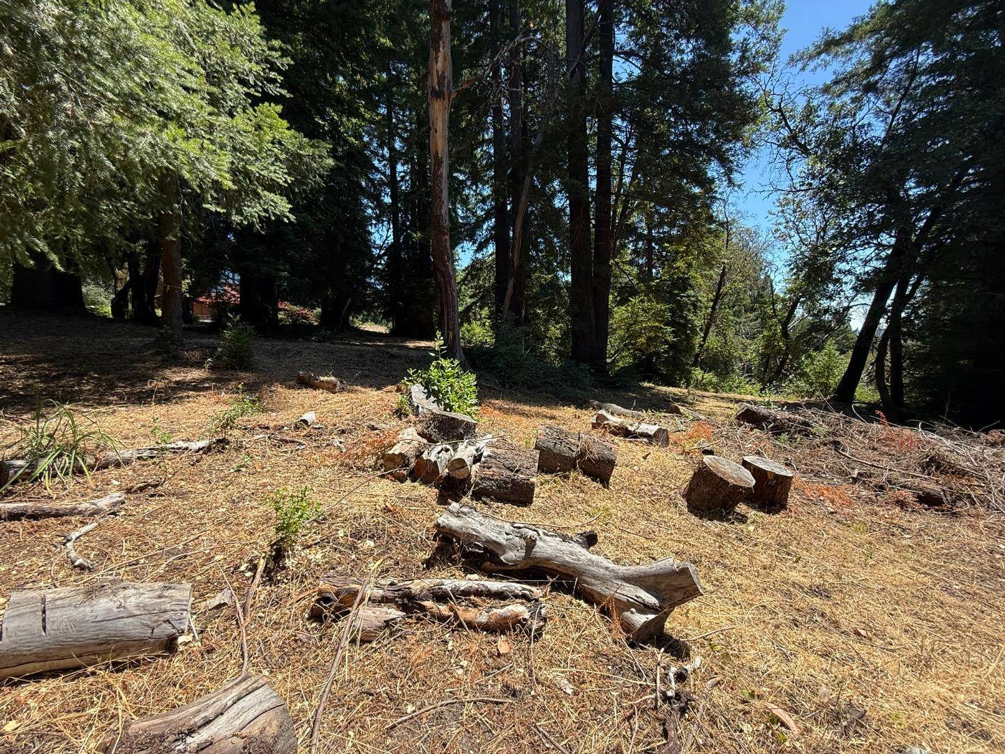 Los Gatos, CA 95033,0 Debbie