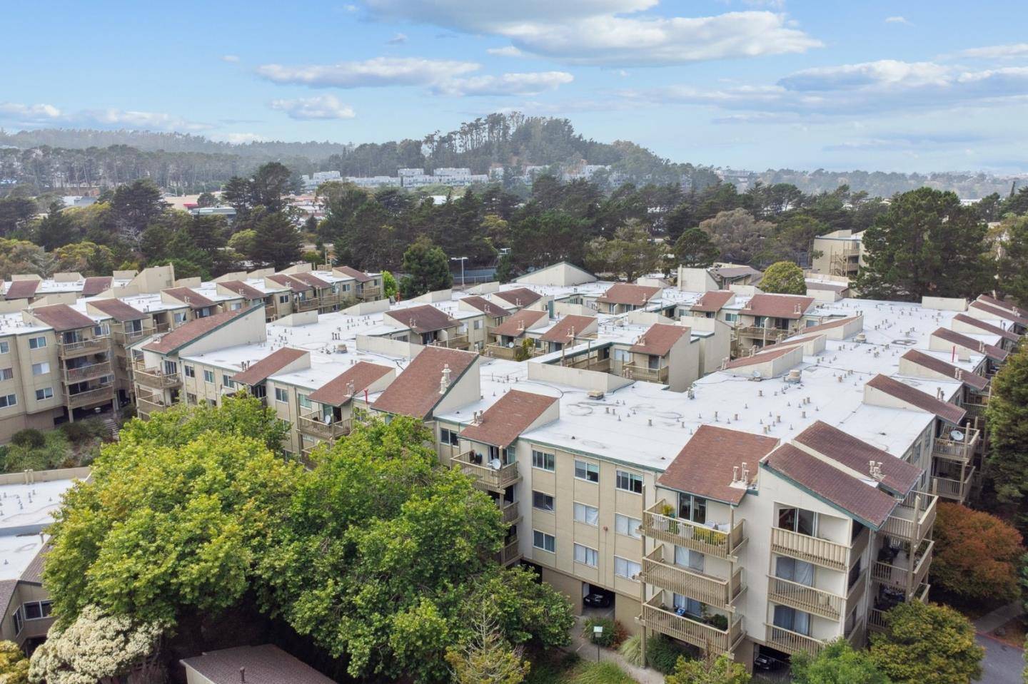 Daly City, CA 94015,370 Imperial Way #218