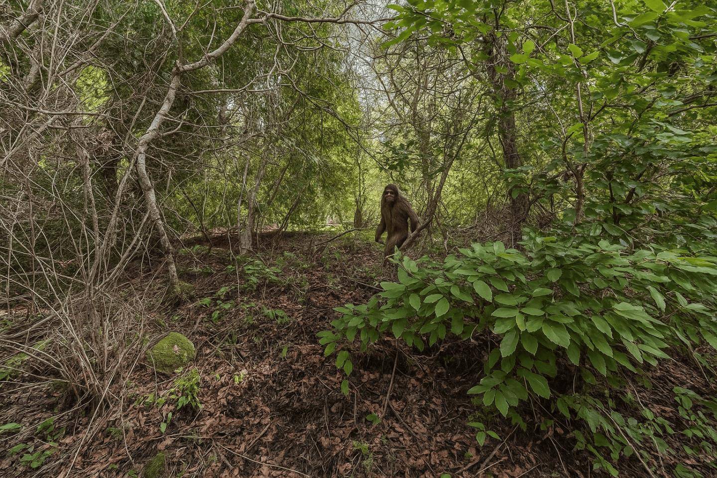 Felton, CA 95018,Lot 02 Lakeview Avenue
