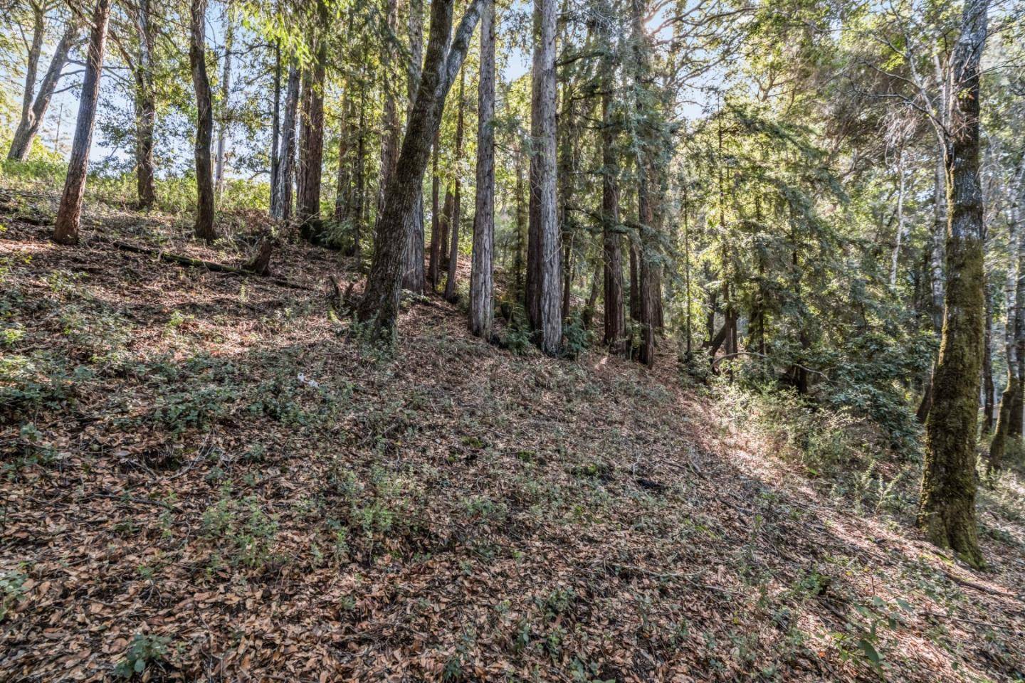 Felton, CA 95018,Lot 11 Volver Avenue