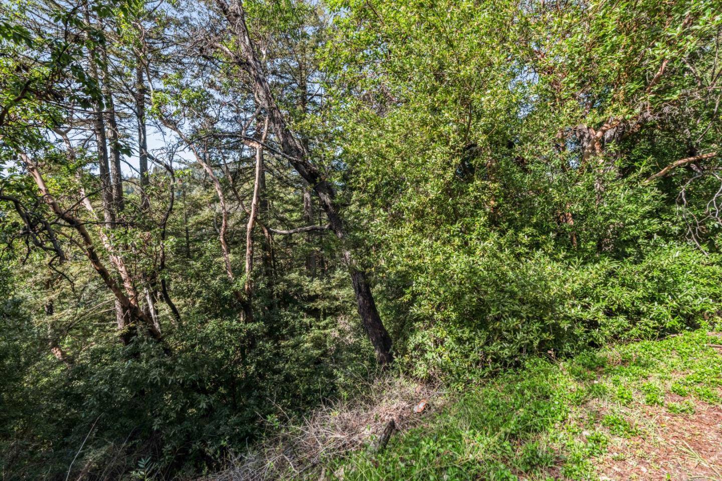 Felton, CA 95018,Lot 08 Lake Blvd and Lot 38 Lakeview