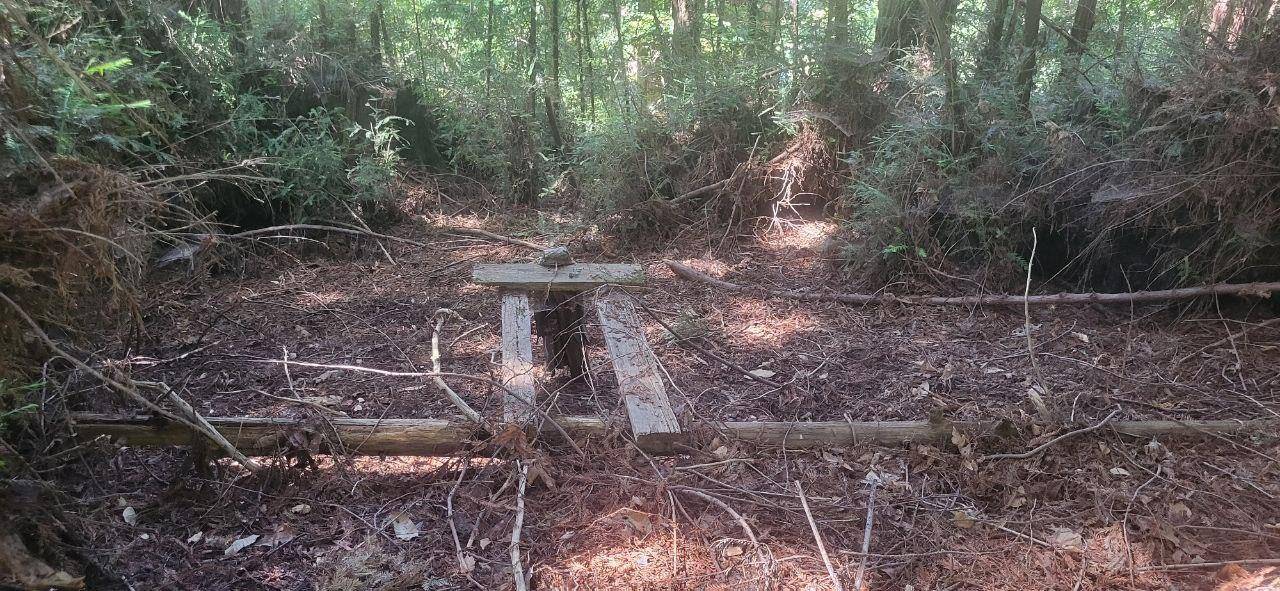 Boulder Creek, CA 95006,1080 Blue Ridge Drive