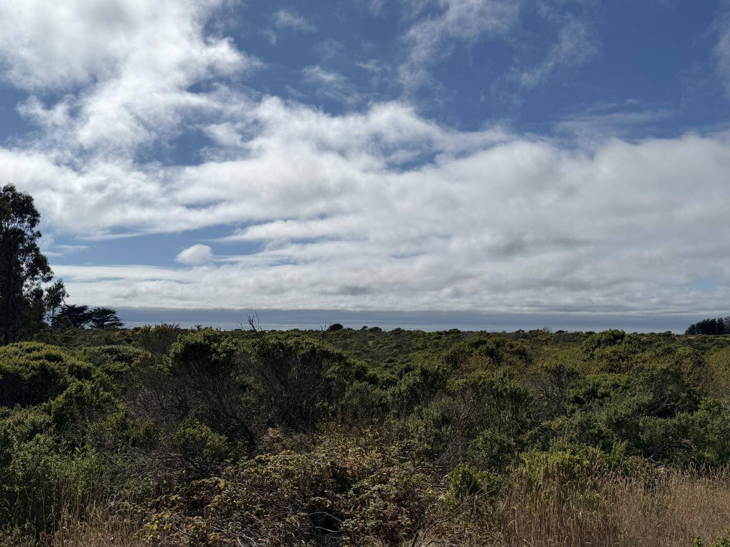 Half Moon Bay, CA 94019,000 Bonita Ave.