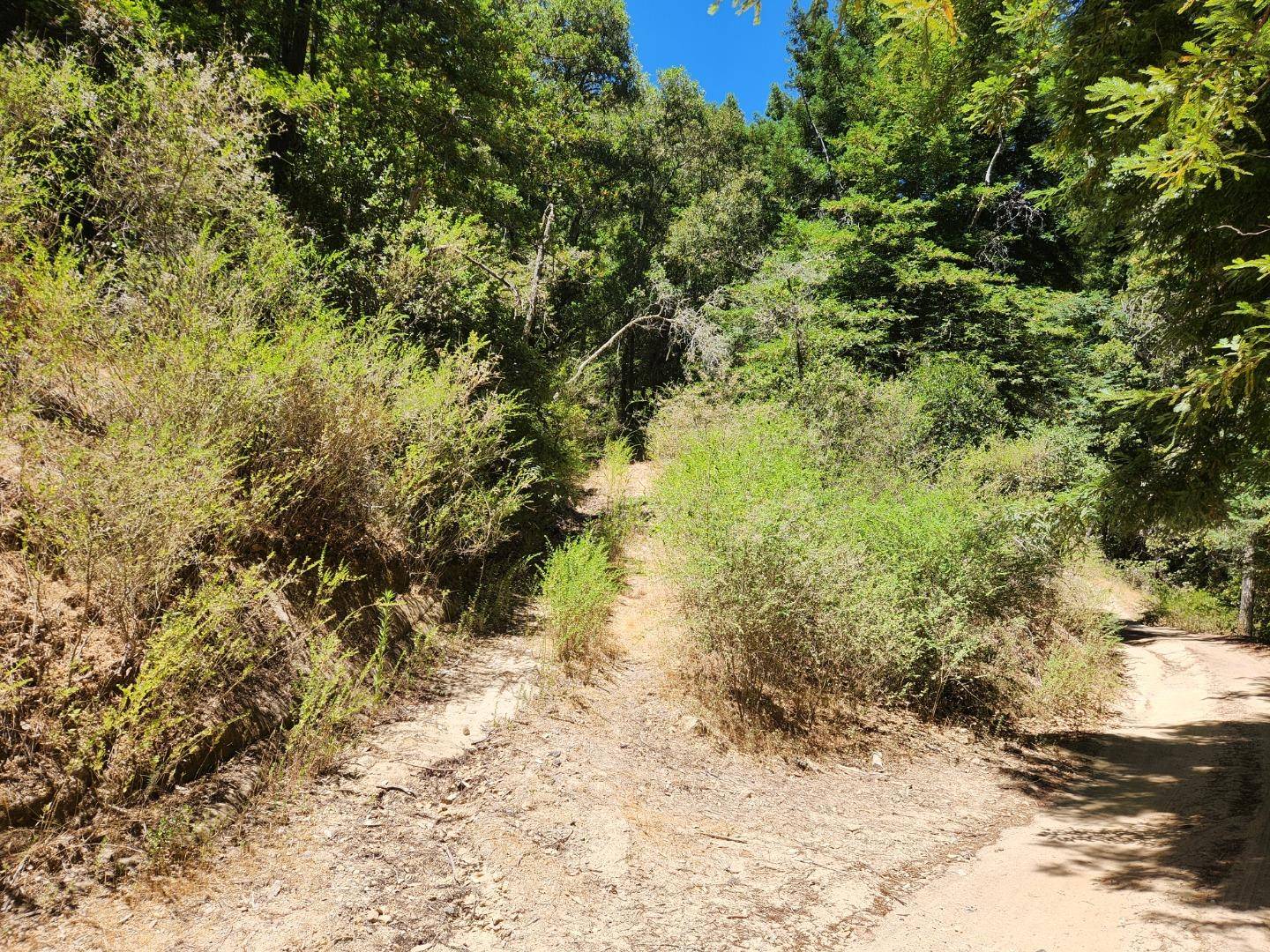 Boulder Creek, CA 95006,510 East Road